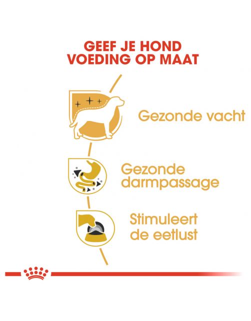 Royal Canin Chihuahua Adult Natvoer - Hondenvoer - 85 g