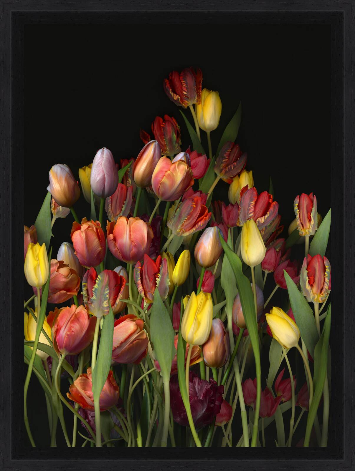 Florescence XXI by Juan Fortes - Open Edition.