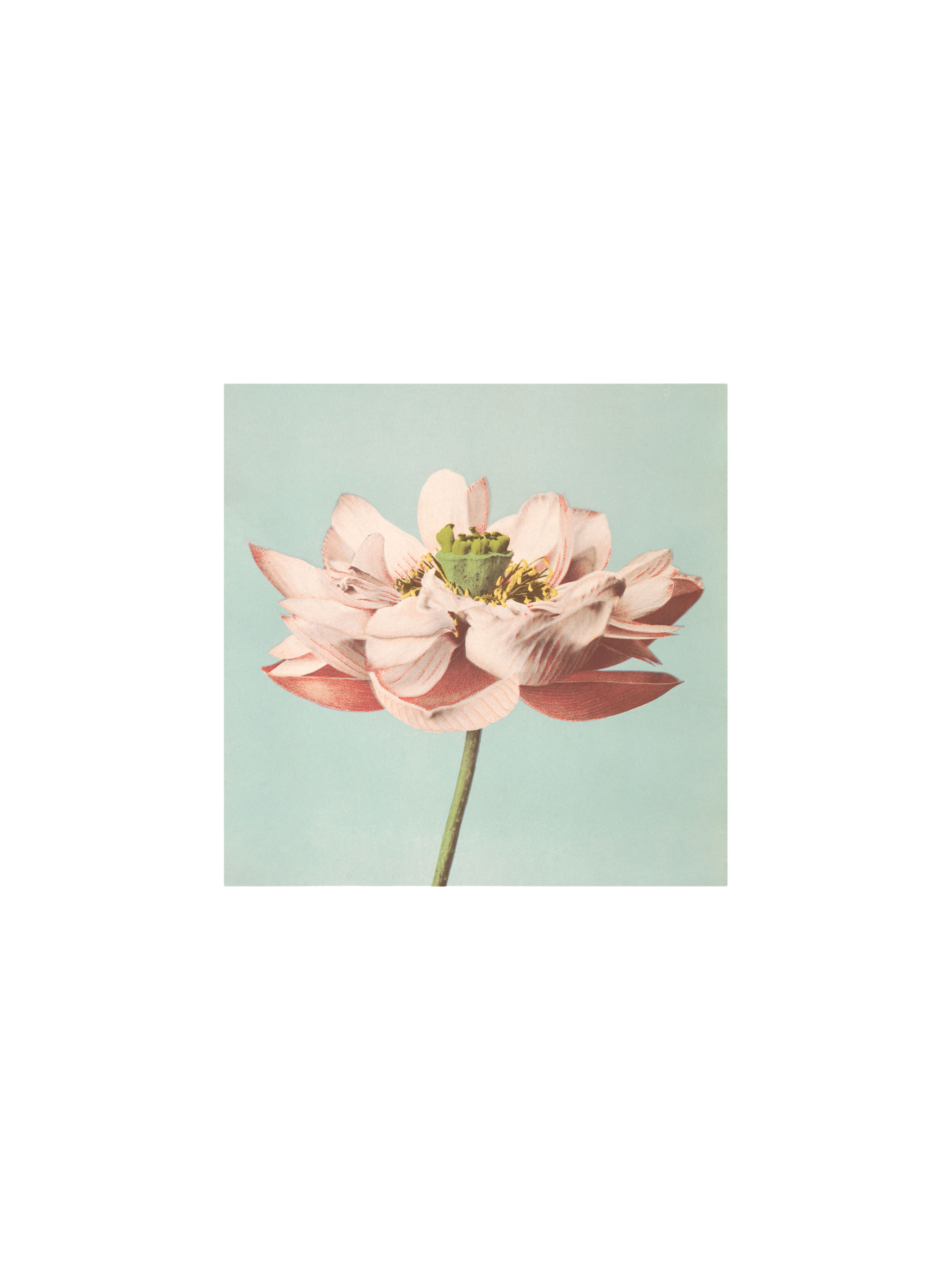 Plakat 24 x 24 | Papir. 24 x 24 cm.  | Multi | The Dybdahl Co.