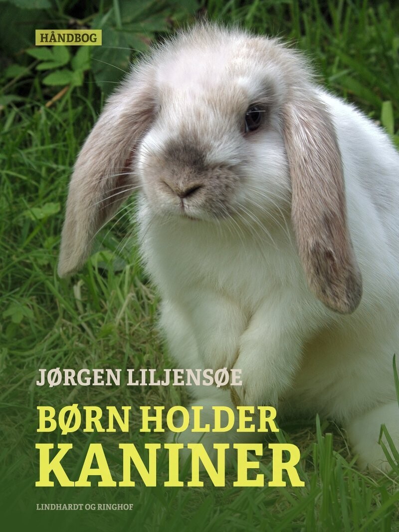 Børn Holder Kaniner - Jørgen Liljensøe - Bog