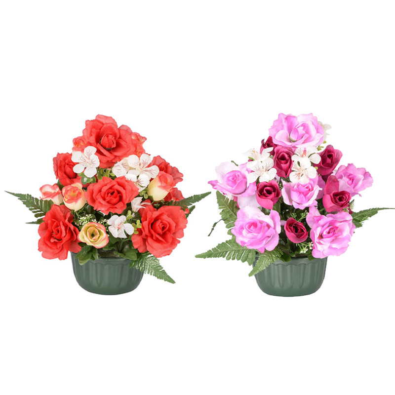 Coupe roses et oeillets des champs