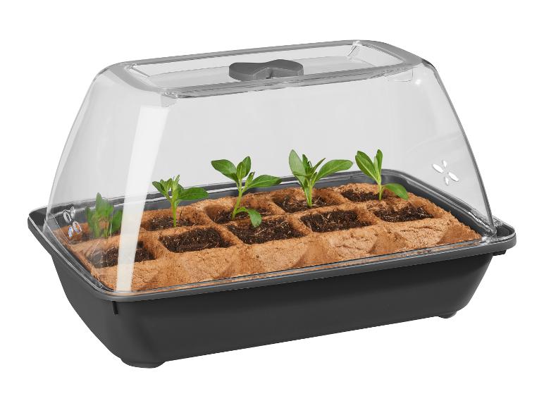 Mini-kas met biologisch zaad