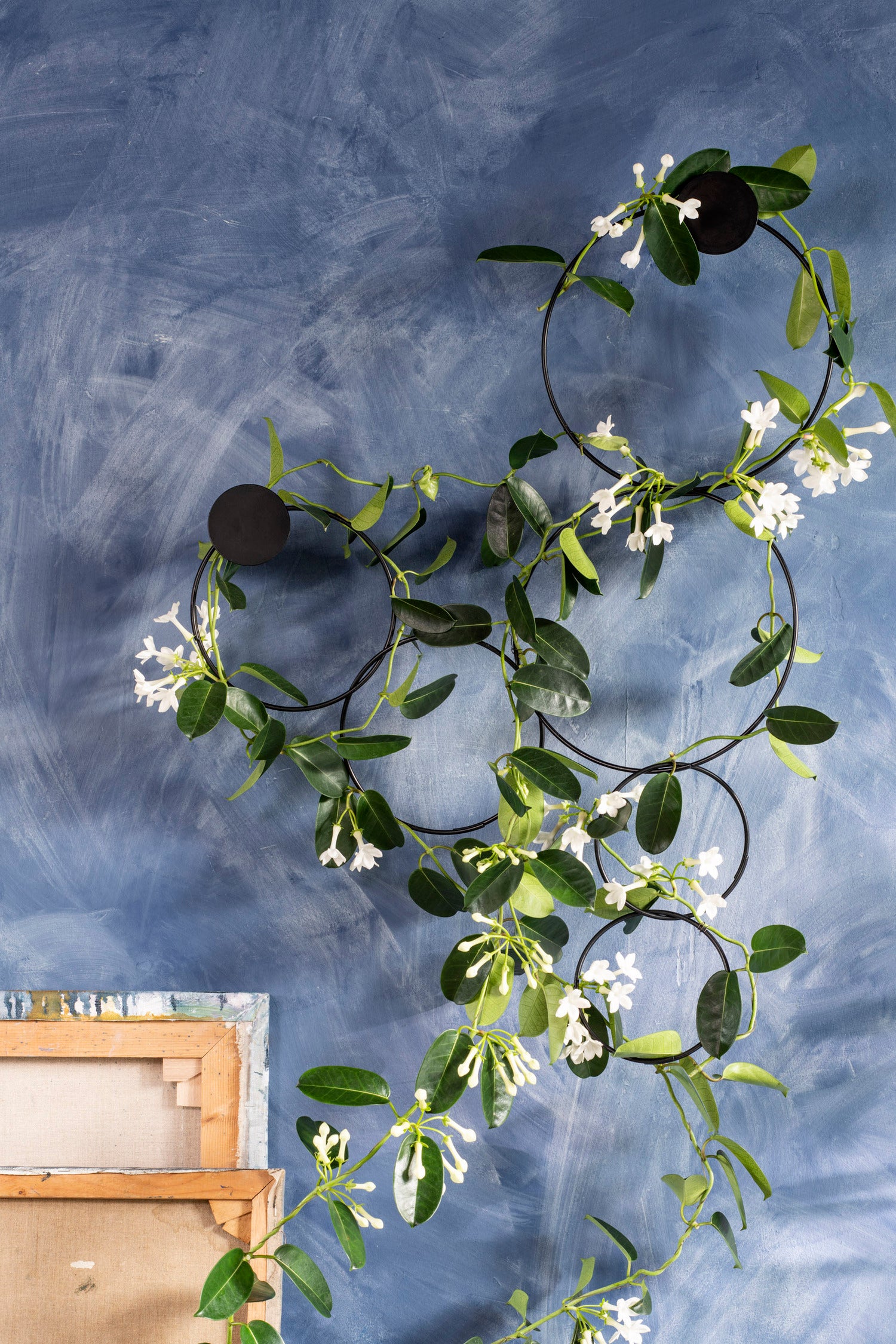 Mica Decorations plantensteun uitbreiding cirkel goud D 28 cm