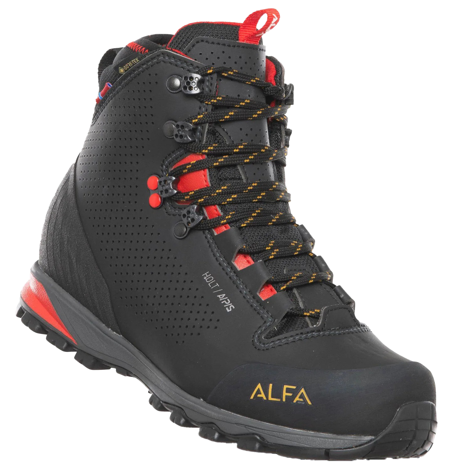 Holt A/P/S GTX Dame Black/Red