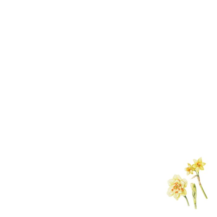 Verjaardagskaarten | Klassiek | Bloemen