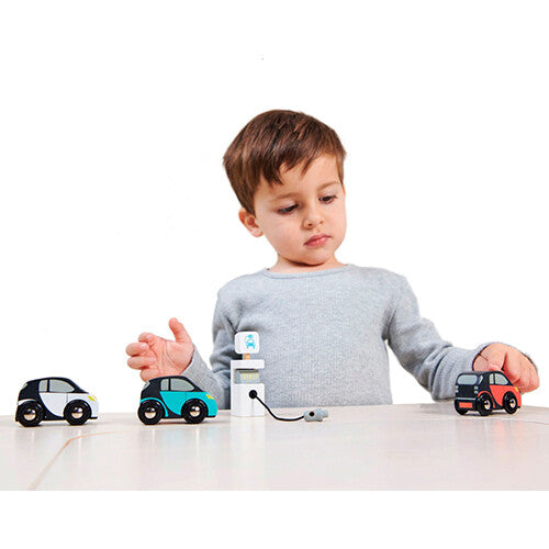 Tender leaf toys elektrische auto's met laadpaal