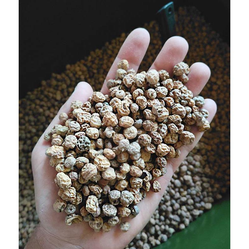 Graine Sèche Tigernuts Standard - 10Kg
