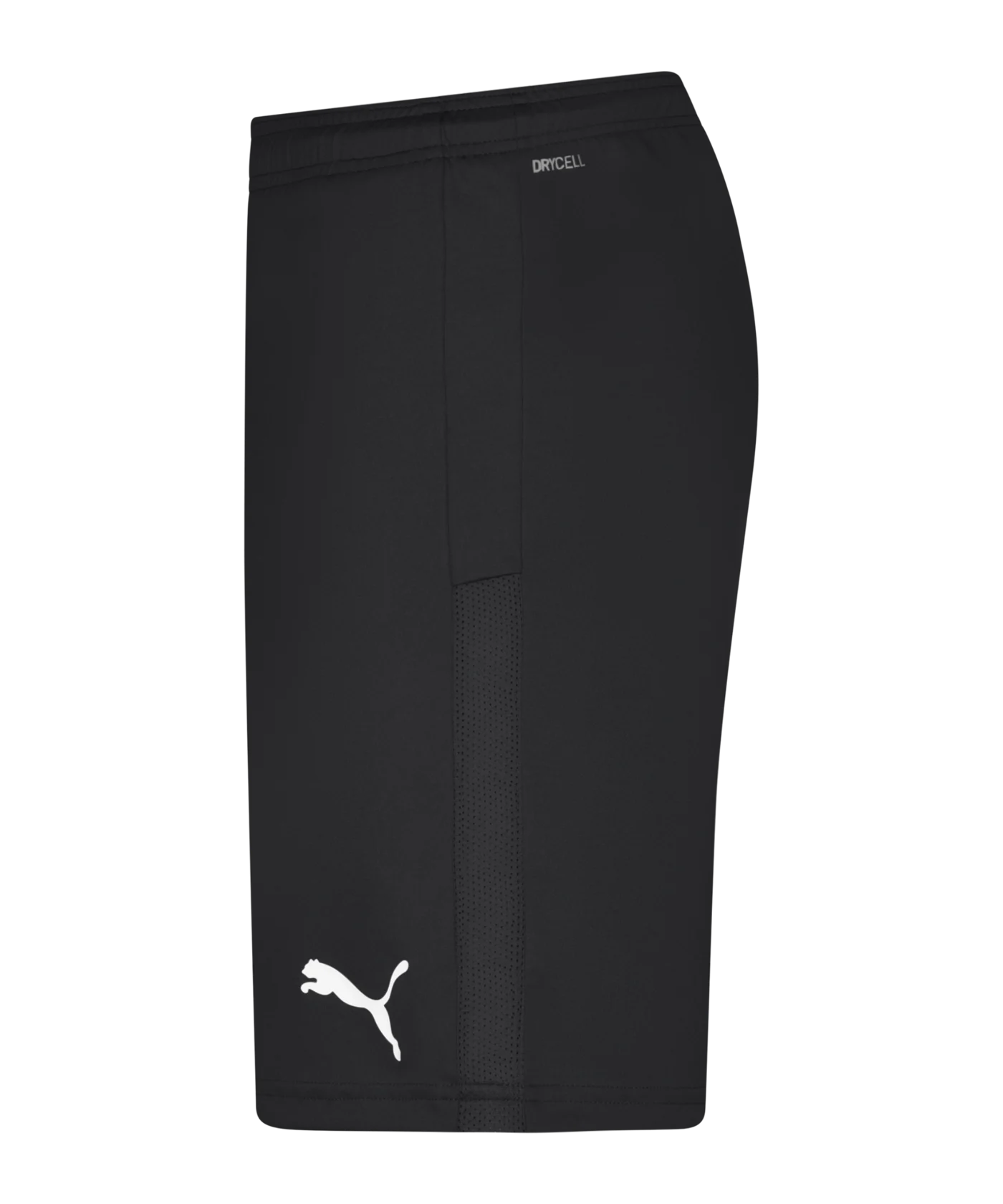 PUMA teamGOAL 23 Knit Short Schwarz F03