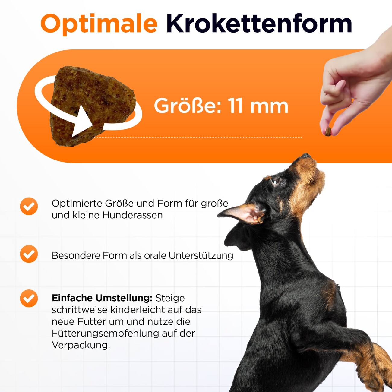 Balloony.pet German Shephy Hundefutter Truthahn 500 g