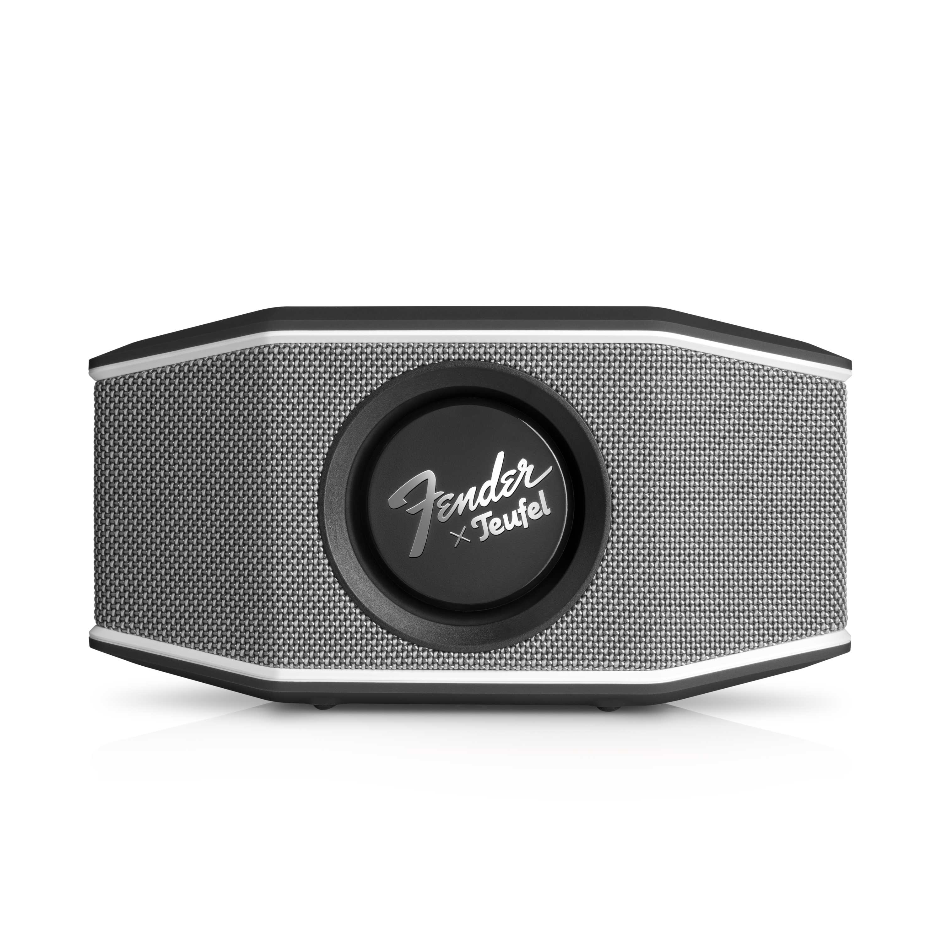 Fender x Teufel ROCKSTER GO 2