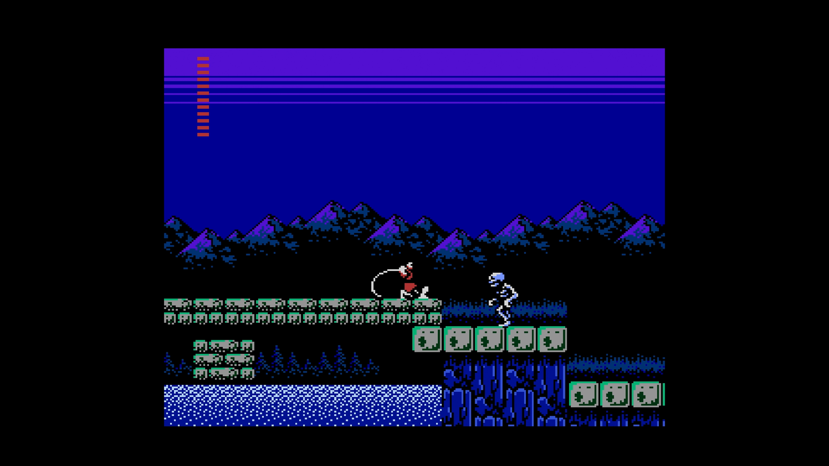 Castlevania Anniversary Collection- PC