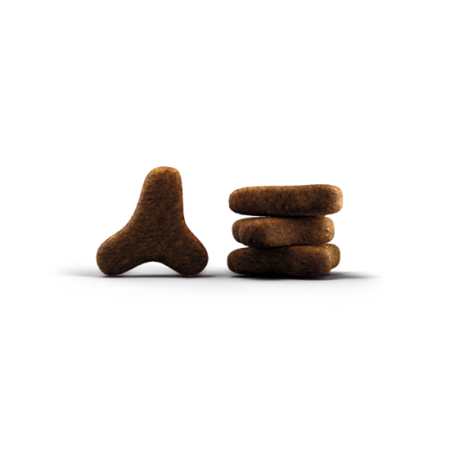 Croquettes Josera SensiCat pour chat adulte