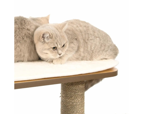 Vervangend kussen voor de Catit Vesper krabpaal, pluche kussen 28 x 56 cm. Vervangend onderdeel voor de Catit Vesper Base in walnoot en zwart, Vesper High Base in walnoot.