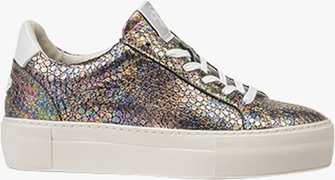 FLORIS VAN BOMMEL multi floris van bommel lage sneakers sfw-10059
