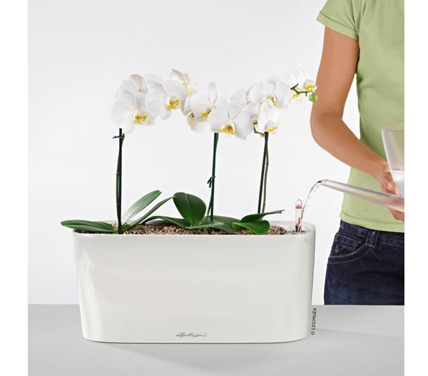 LECHUZA® DELTA, All-in-One-Set, hochglanz