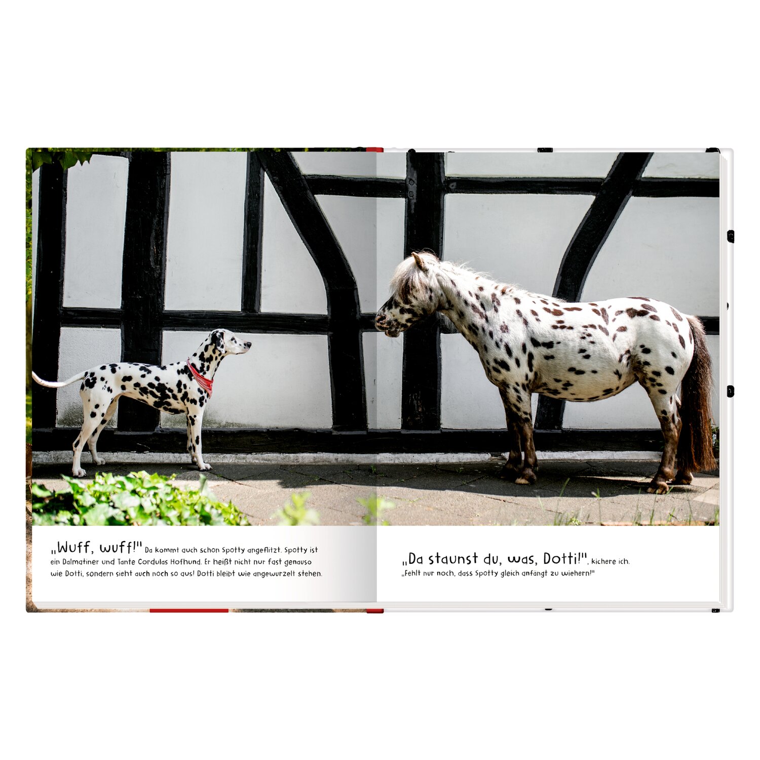 COPPENRATH Lotti & Dotti - Ferien auf dem Bauernhof Band 3