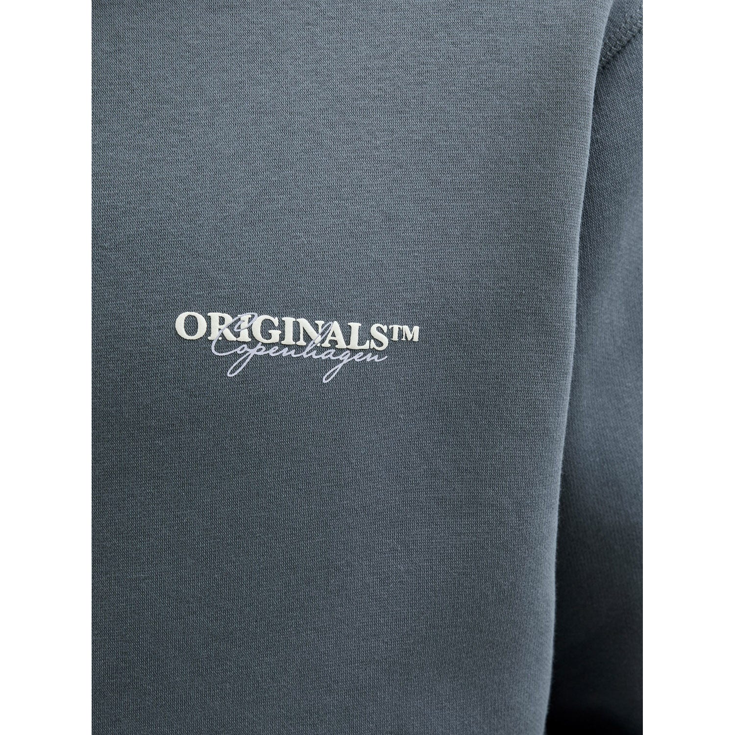 Jack & Jones  Jorislington Hoodie
