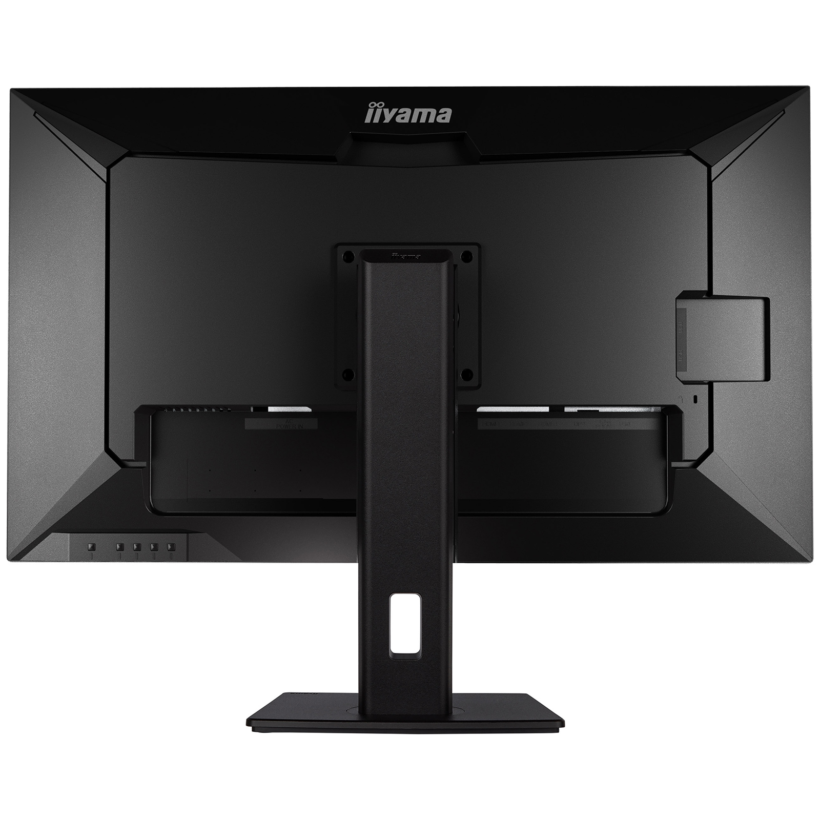iiyama 31.5