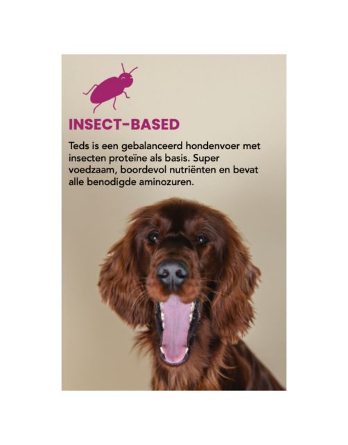 Teds Adult Insect Hypoallergeen Insecten - Hondenvoer