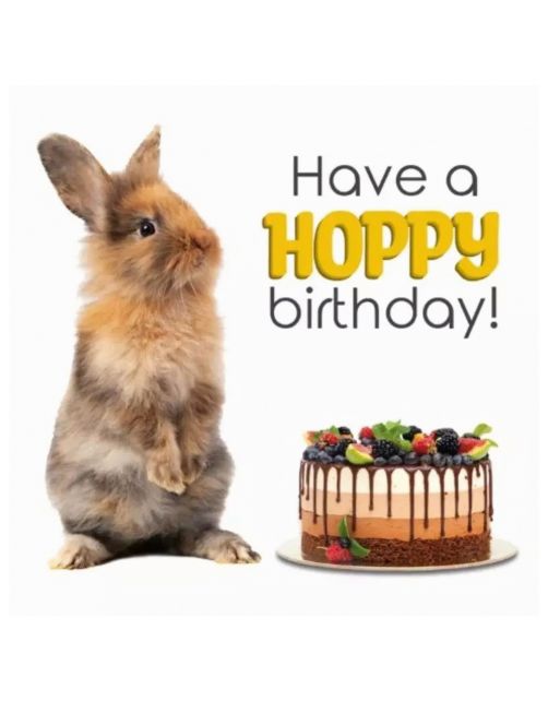 Plenty Gifts Kaart Hoppy Birthday - Cadeau - 13.7x13.7 cm