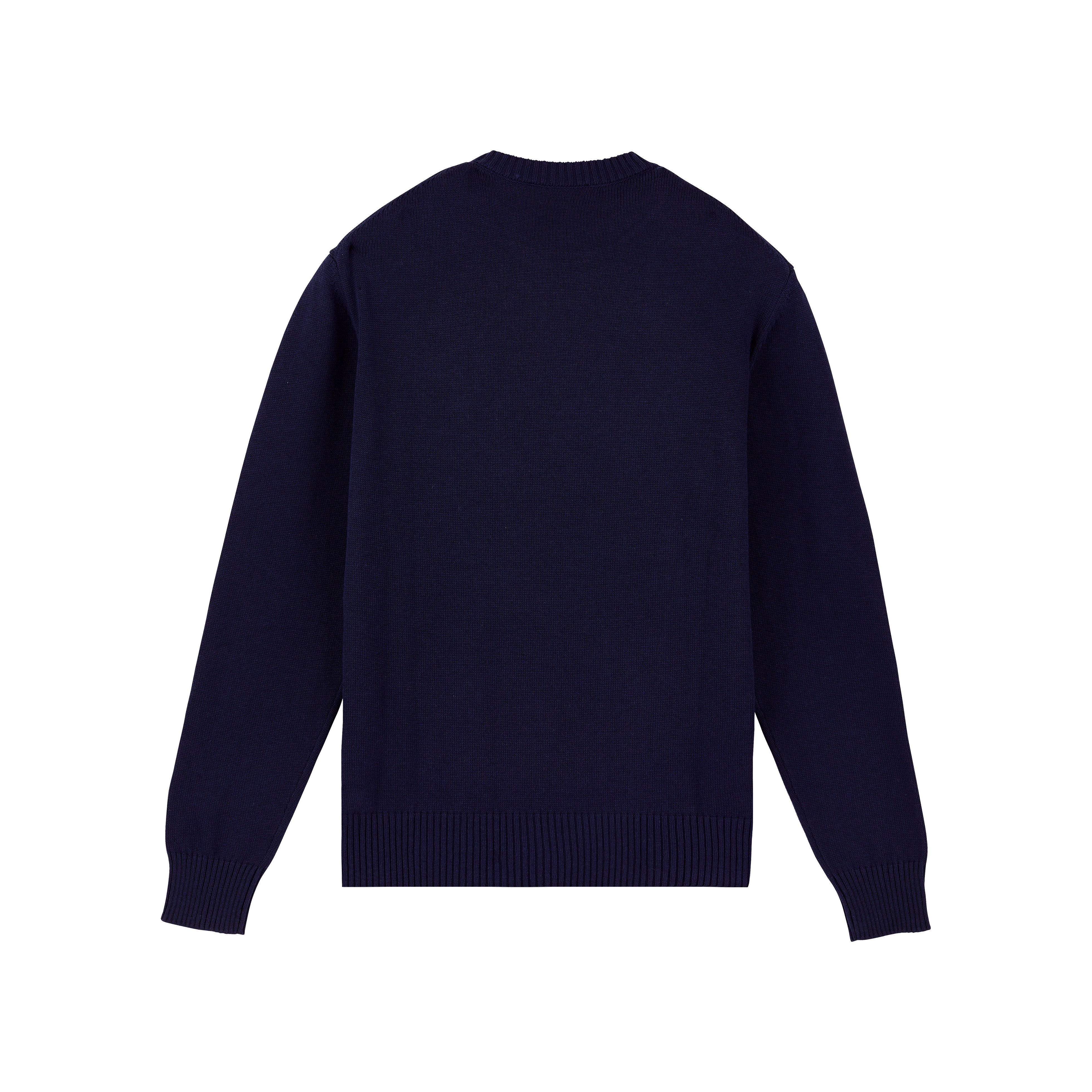 Pullover en Coton et Cachemire Ras-du-Cou Homme Tortue