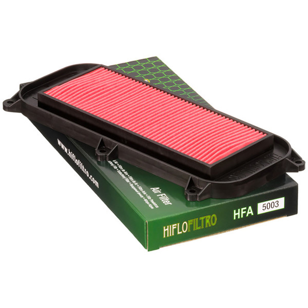 Hiflofiltro - Filtre à air HFA5003