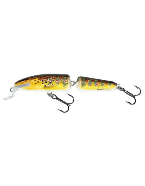 Salmo If7f Trout - Plug -