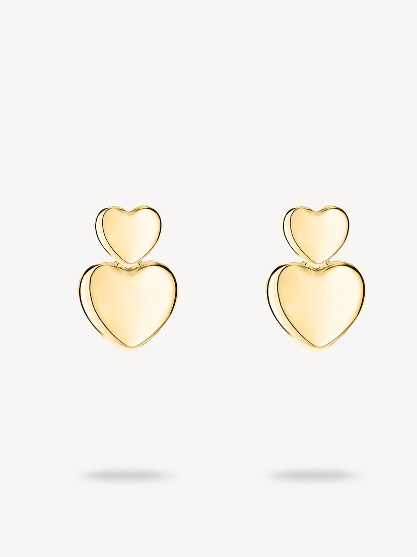 Oorringen - goud