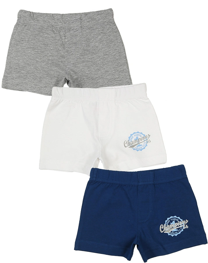 Boxershorts CHAMPIONS 3er-Pack in blau/weiß/grau