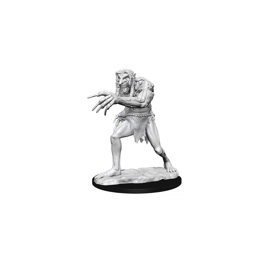 D&D Nolzur's Marvelous Unpainted Miniatures: Troll