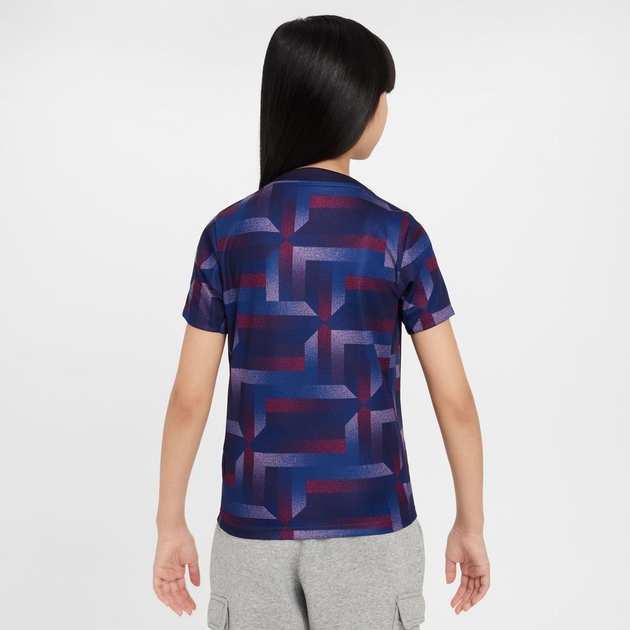 Angleterre T-shirt d'Entraînement Dri-FIT Academy Pro Avant-Match - Purple Ink/Gris Enfant