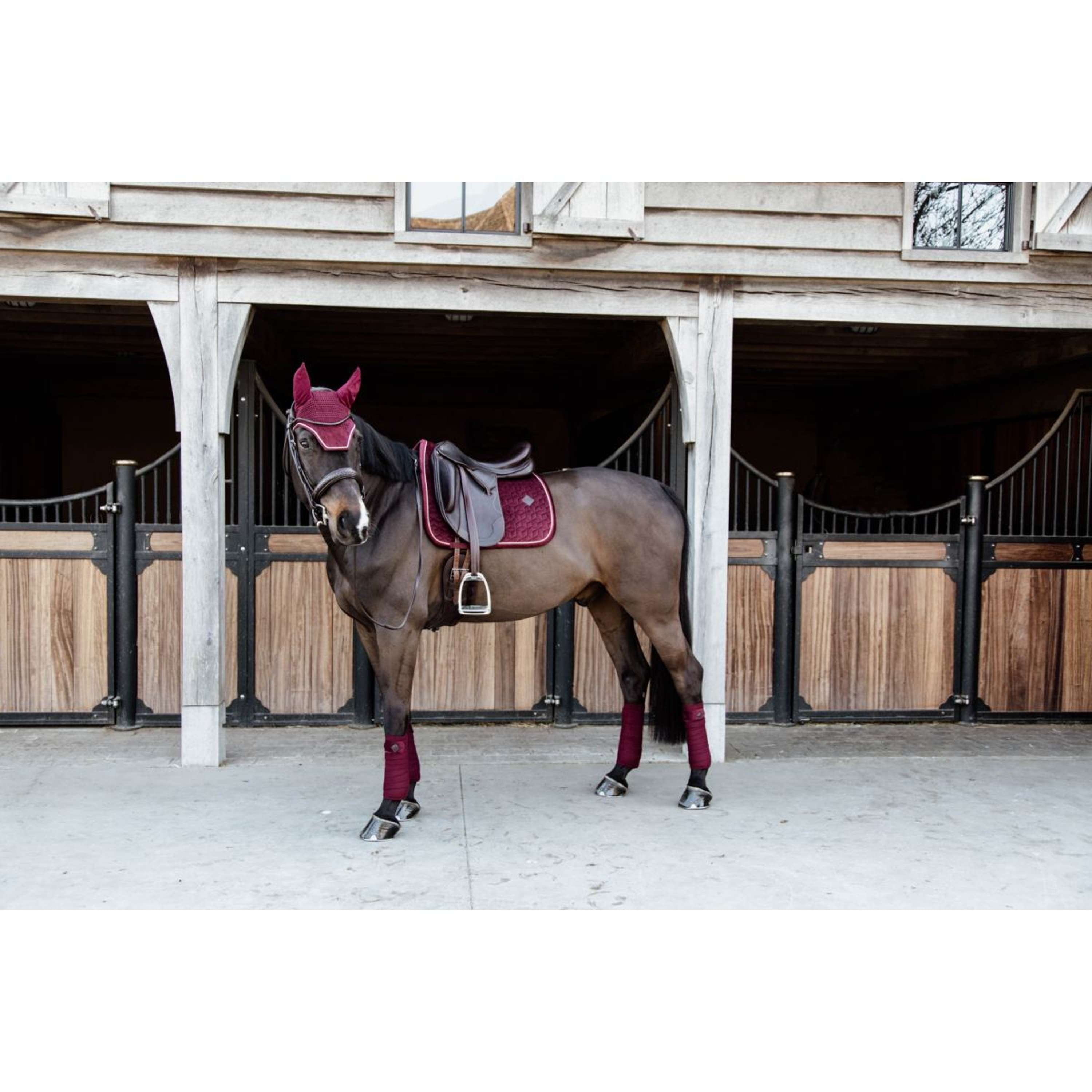 Kentucky Zadeldekje Velvet Dressuur Bordeaux