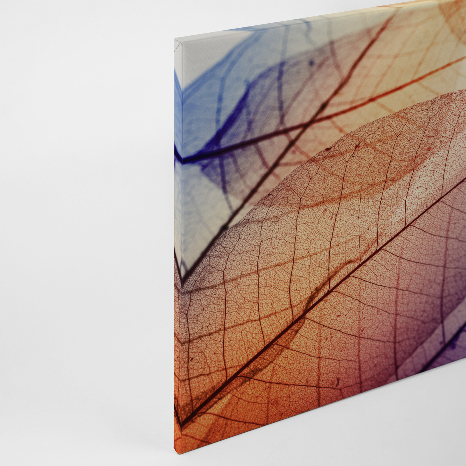 Leinwandbild BLATT - orange-gelb - 90x60 cm