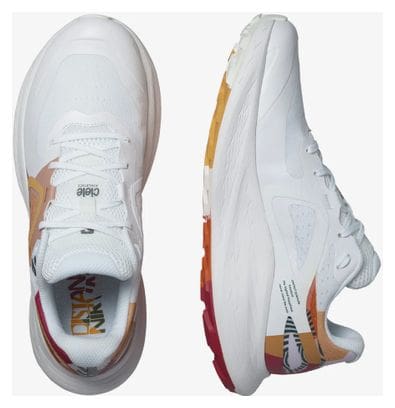 Chaussures de Trail Salomon x Ciele Glide Max TR Blanc / Multicolor Unisex