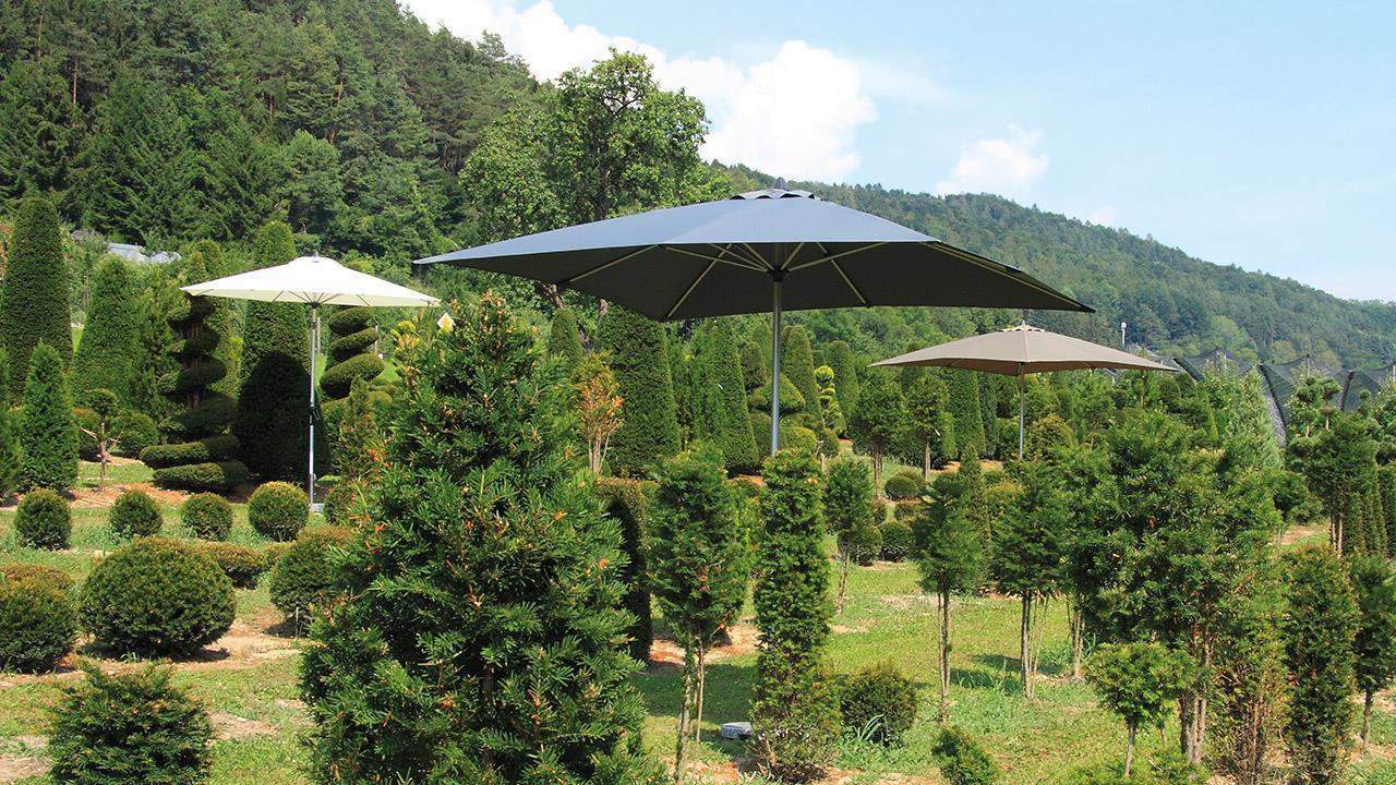 Marktschirm - platin-natur - mit Knickgelenk- 200x300 cm