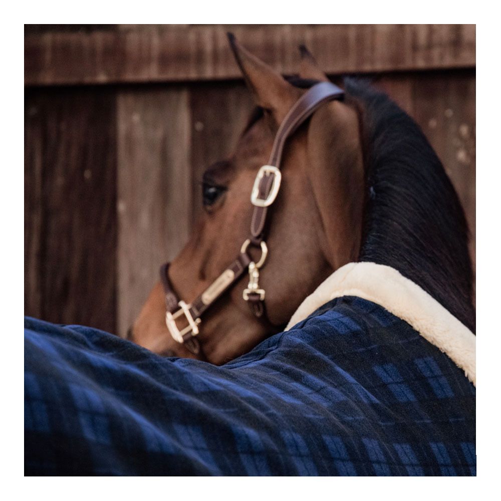 Kentucky SHOW HEAVY - Chemise séchante check printing