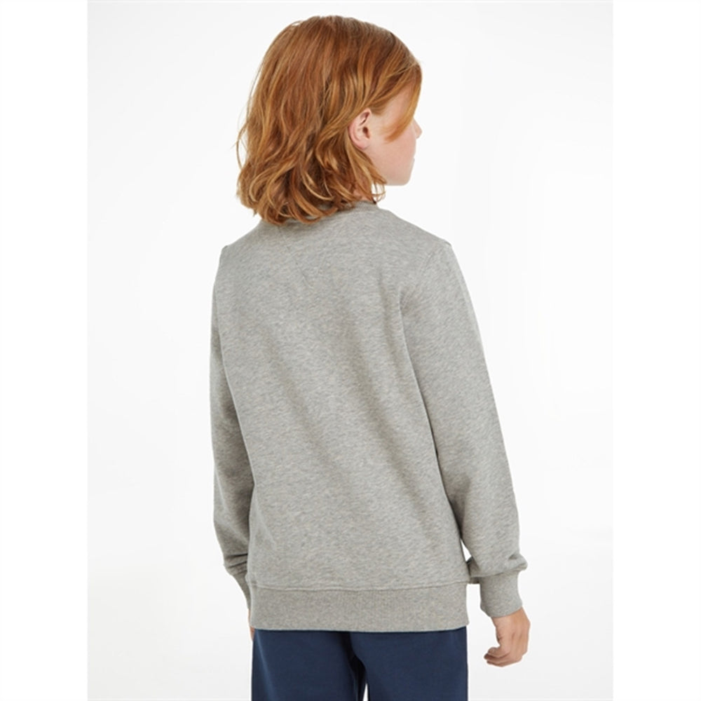 Køb Tommy Hilfiger Essential Sweatshirt Light Grey Heather