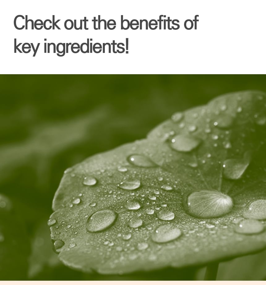 Barr - Centella Kalmerende Gel Essence