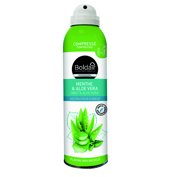 Désodorisant compressé Boldair Menthe et Aloe Vera 250 ml