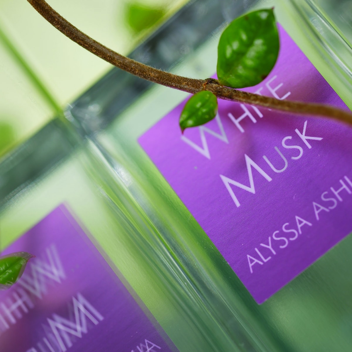 Alyssa Ashley White Musk Eau de Parfum