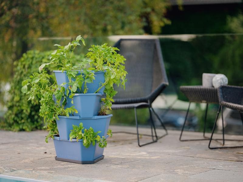 Gusta Garden Aufzuchttöpfe PAUL POTATO Starter, 4 Etagen, B Urban Gardening Kartoffelturm