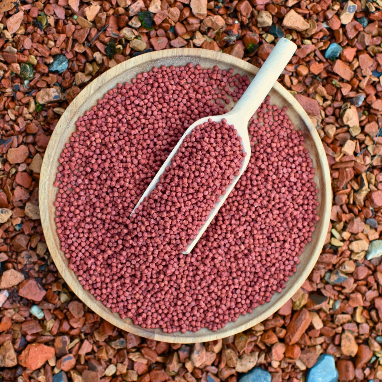 Lyra Pet Lyra Pond Pond Colour Astax Pellets im Eimer 10 l