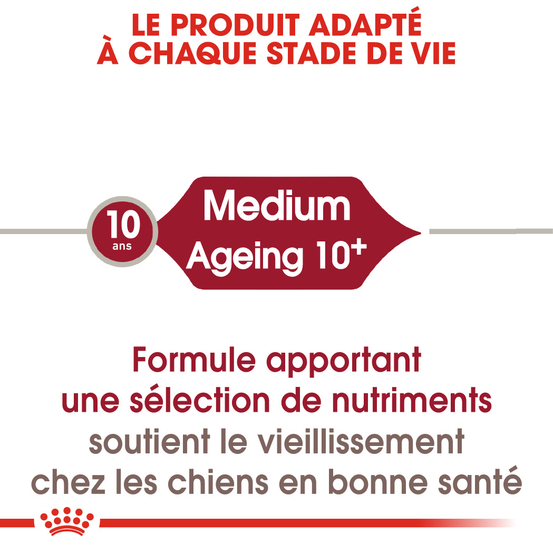 Croquettes chien +10 ans Medium Ageing 10+ 15kg