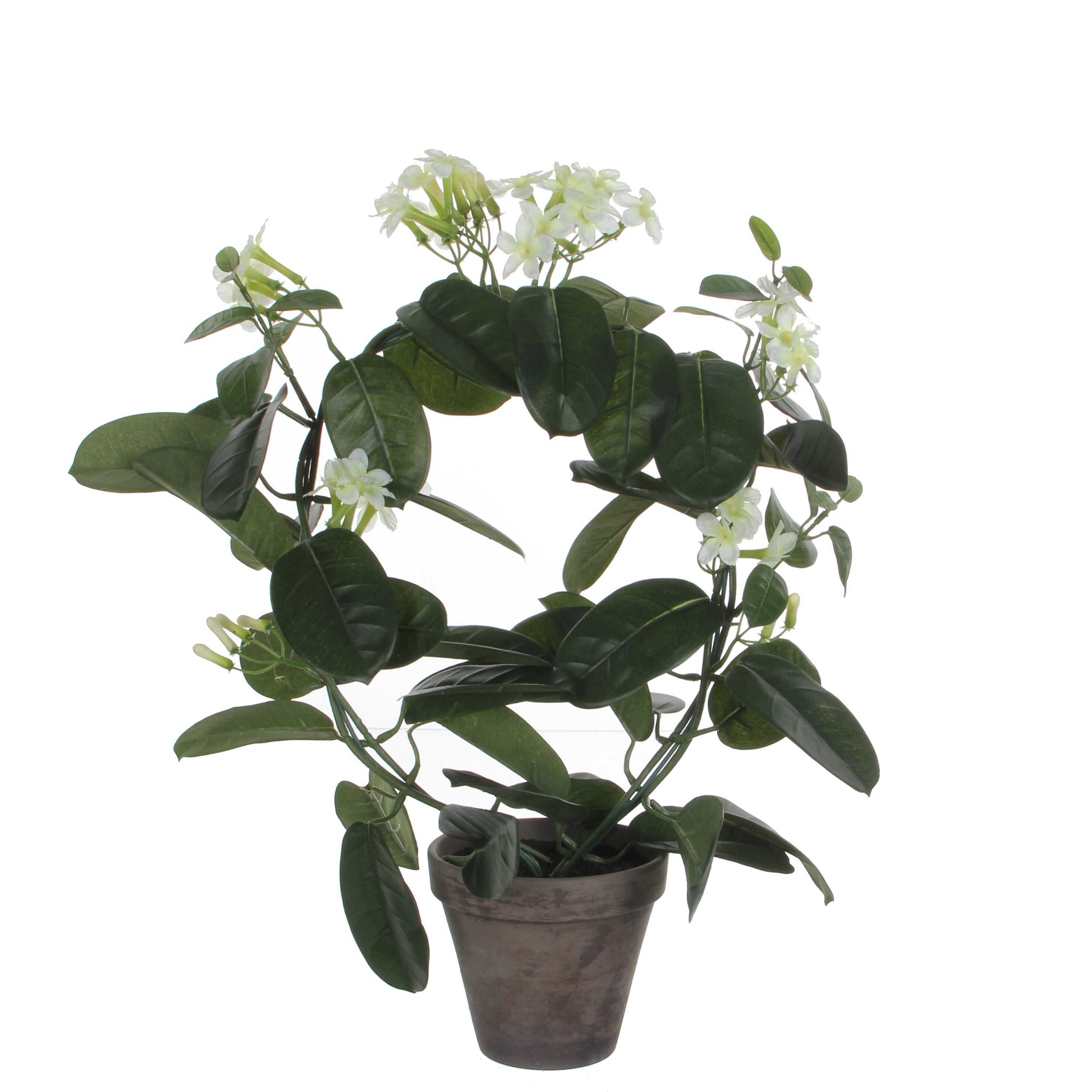 Mica Decorations Stephanotis wit in pot Stan grijs d13,5cm - h50xd40cm