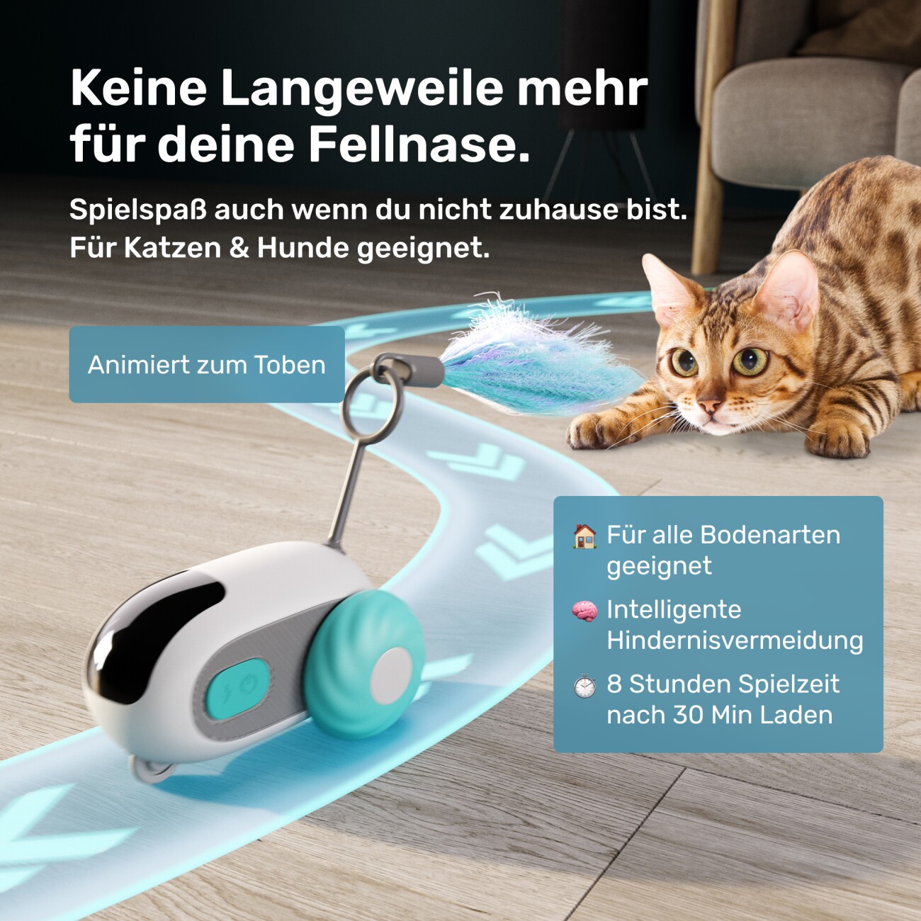 PetTec Pet Toy RC Car - interaktives Katzenspielzeug