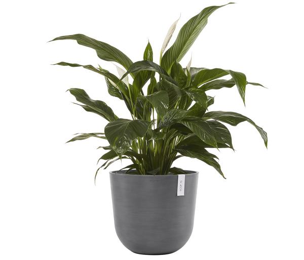 Ecopots Kunststoff-Topf Oslo, rund
