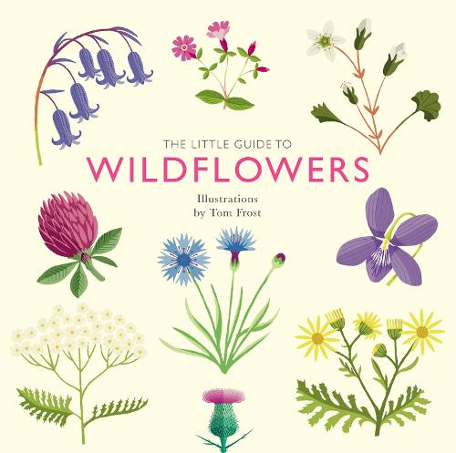 The Little Guide to Wildflowers - Little Guides (Hardback)