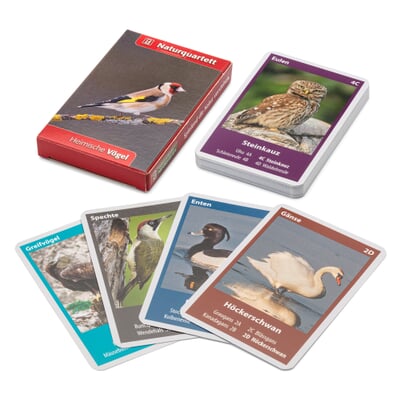 Naturquartett Heimische Vögel