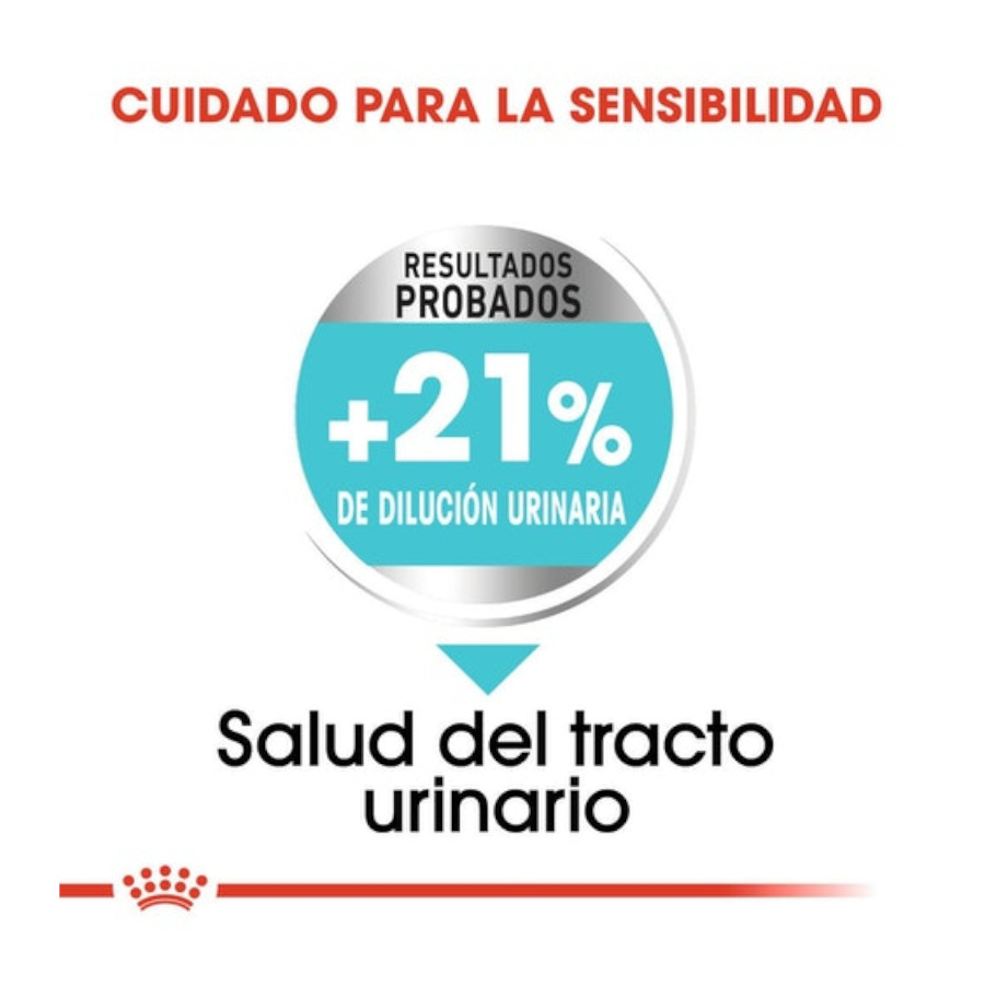 Ração Royal Canin Urinary Care Mini para cães