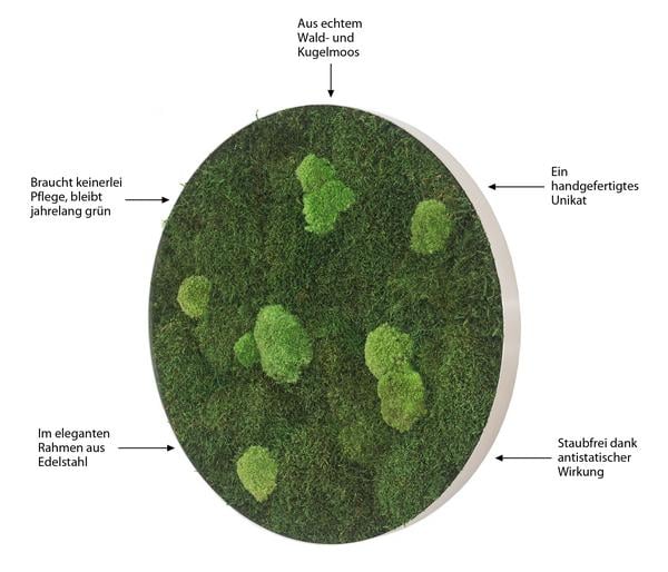 styleGREEN Bild aus Wald- und Kugelmoos,